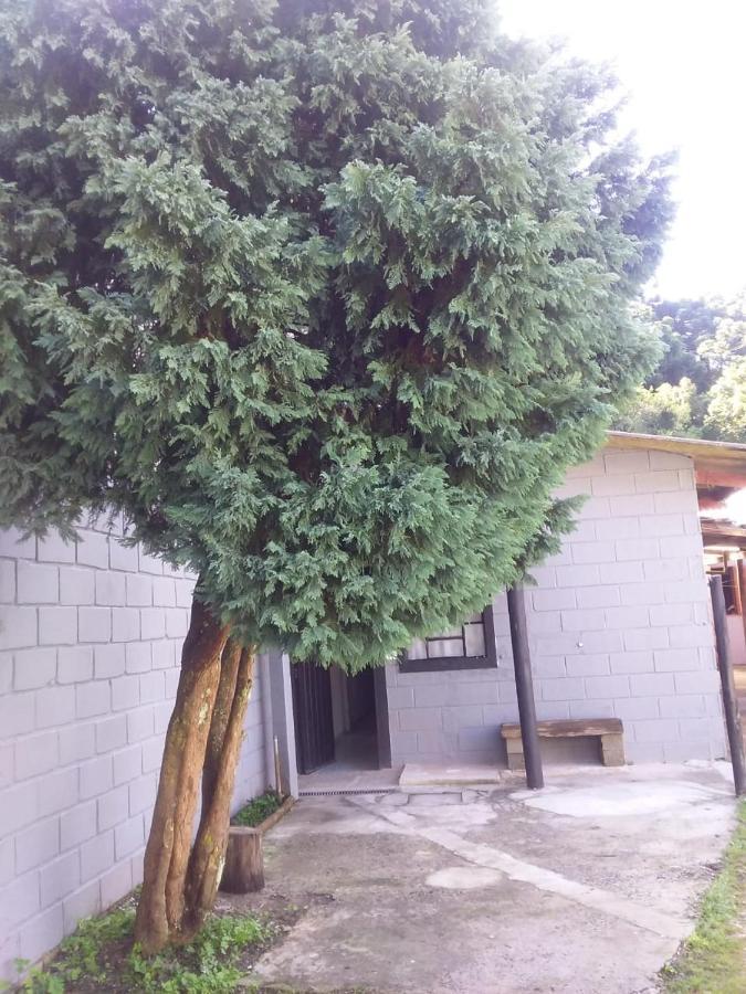 Willa Kitnet Recanto De Campos-Pertinho Do Centro Campos do Jordão Zewnętrze zdjęcie