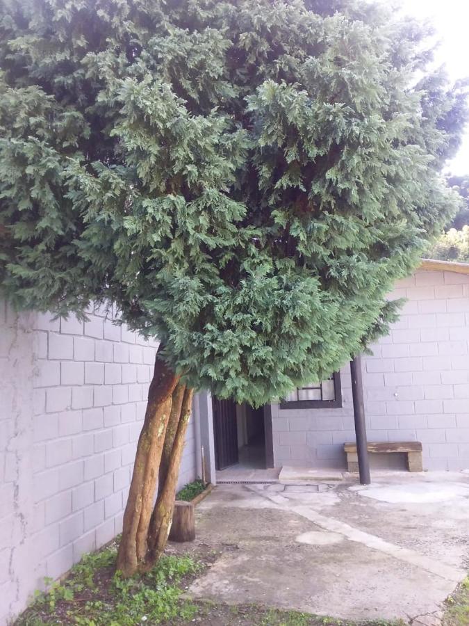 Willa Kitnet Recanto De Campos-Pertinho Do Centro Campos do Jordão Zewnętrze zdjęcie